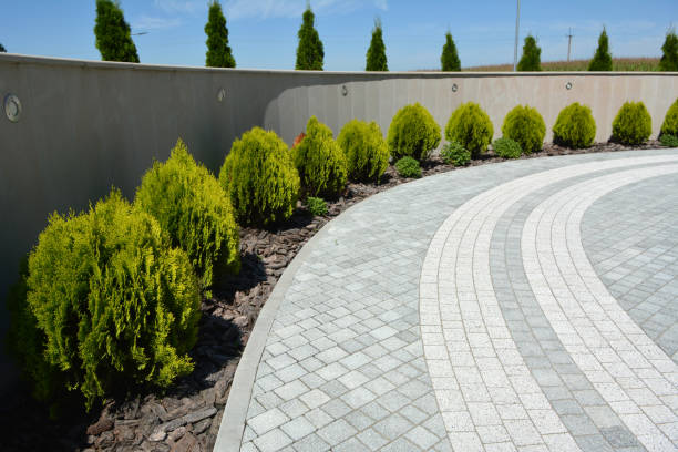 Driveway Repair Near Me in Lombard, IL